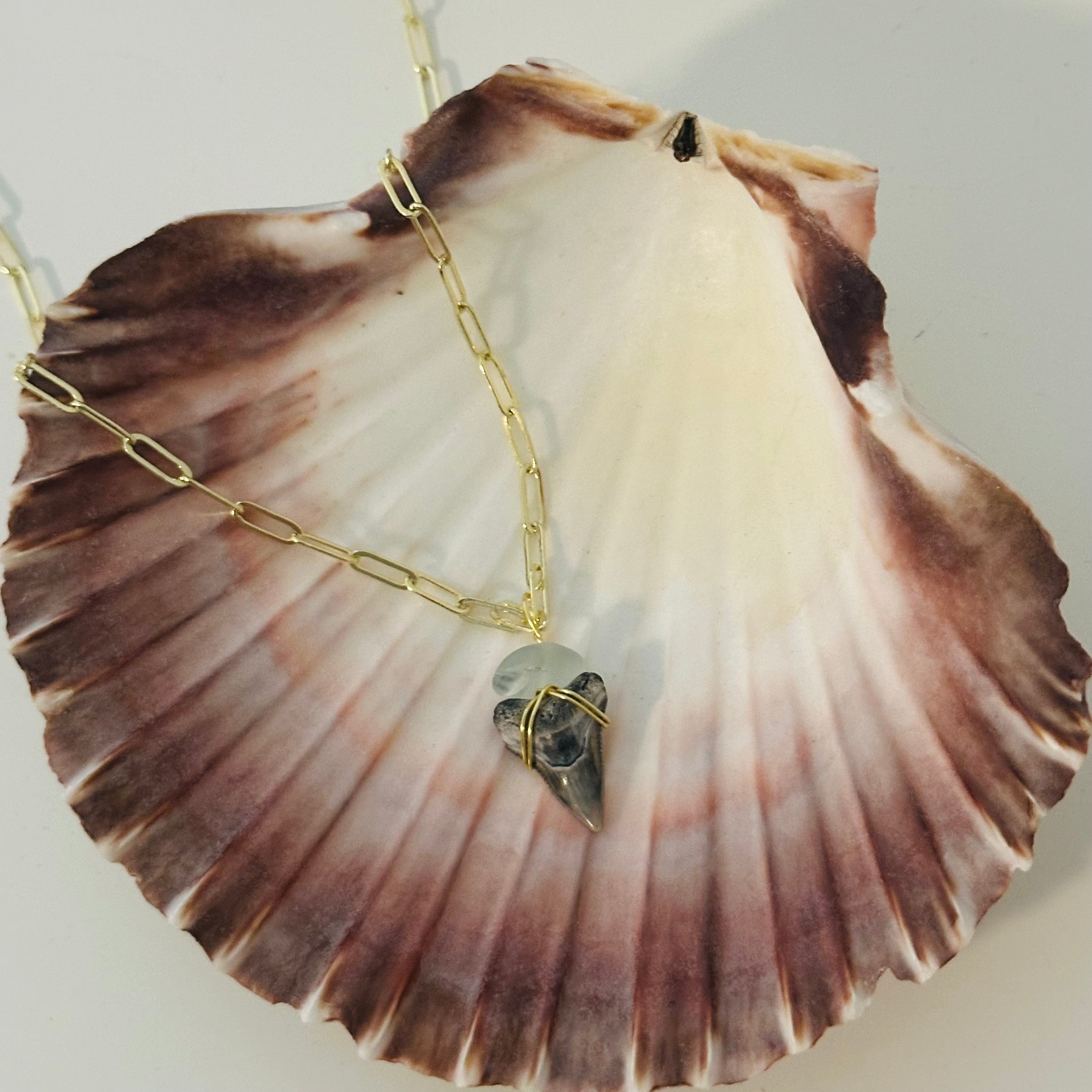 Sea Glass Shark Tooth Necklace
