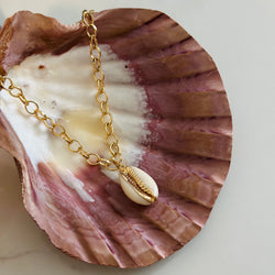 Gold Puka shell cable chain necklace