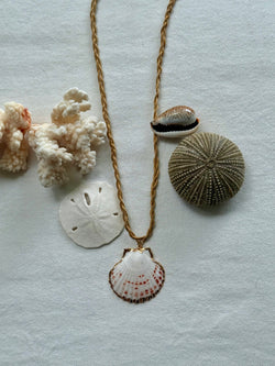 Sunshell Rope Necklace