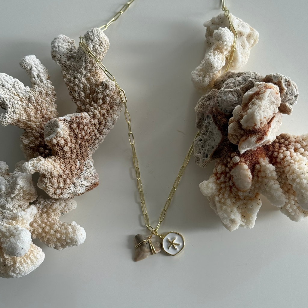 Shark Tooth Starfish Link Necklace