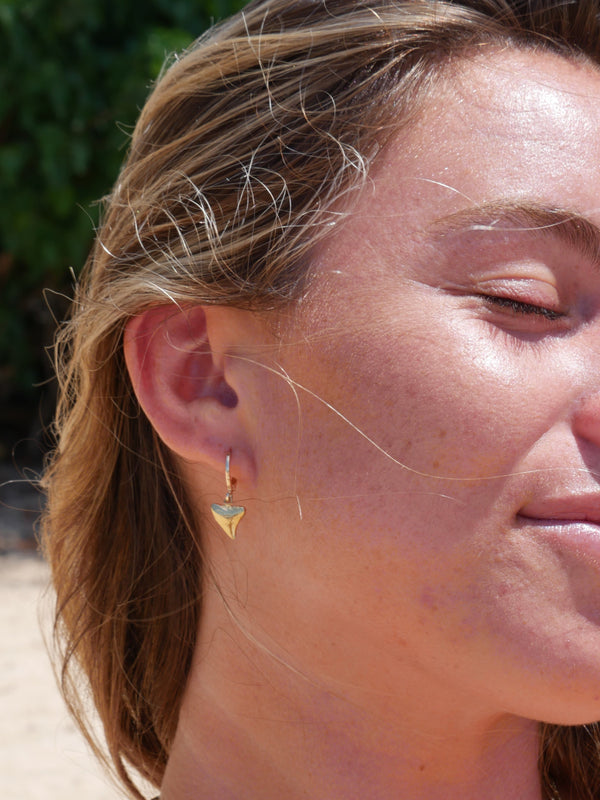Gold Shark Tooth Hoops