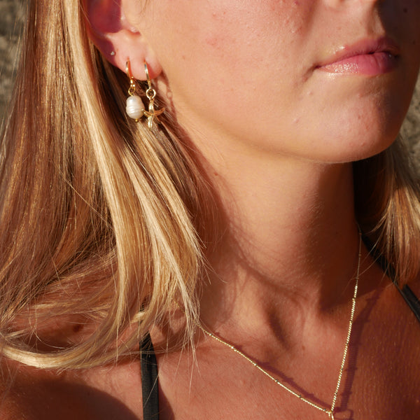 Starfish Earrings