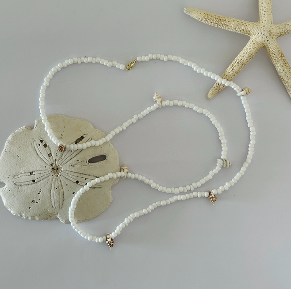 SeaShell Belly Chain