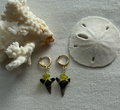 Shark Tooth Earrings