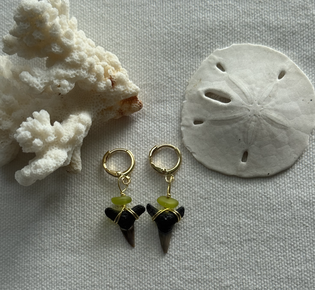 Shark Tooth Earrings