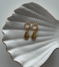 Cowrie GOLD FILLED Hoops