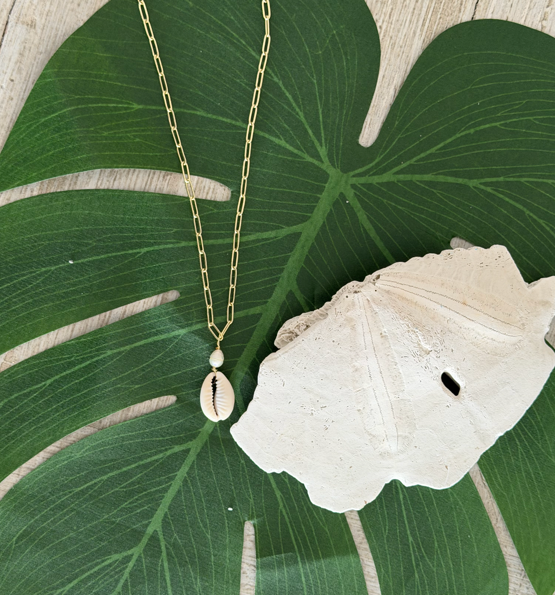 SAGE Cowrie Pearl LINK