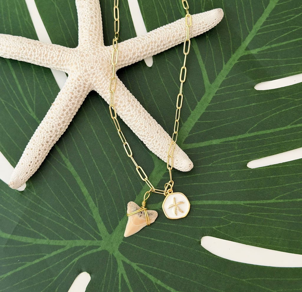 Shark Tooth Starfish Link Necklace
