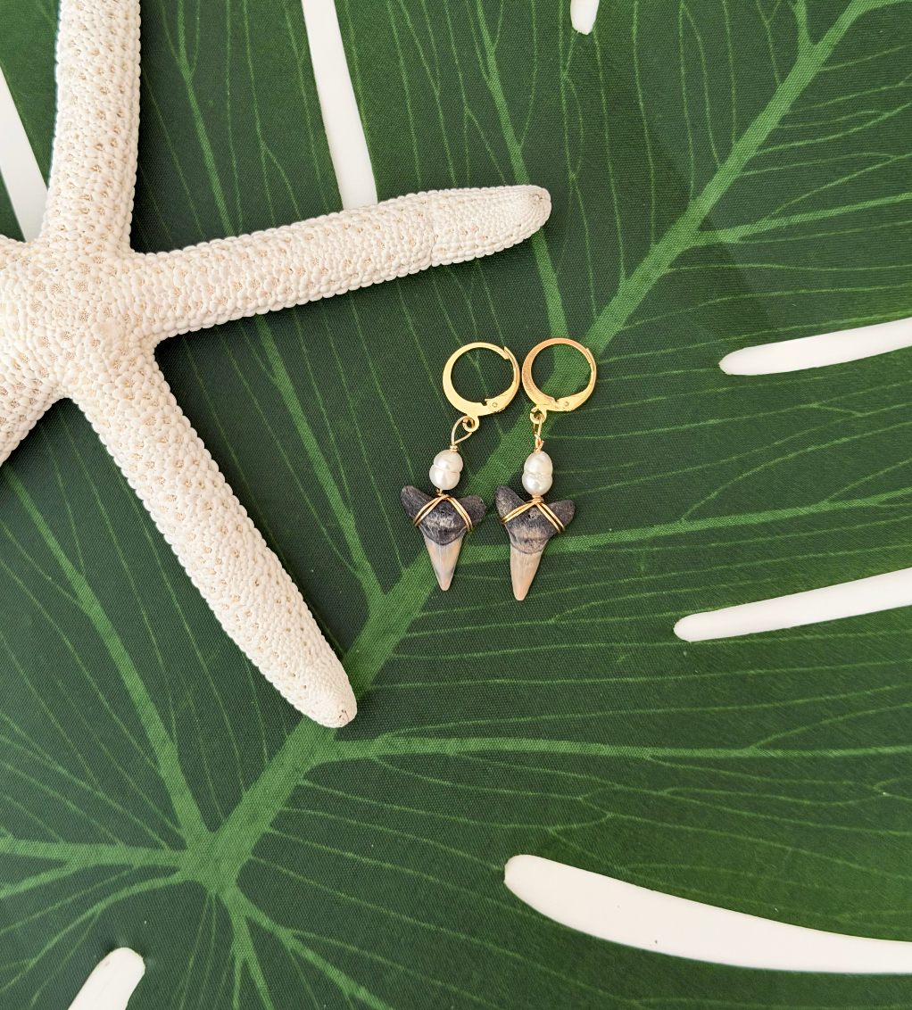 Shark Tooth Pearl Earrings
