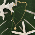 SAGE-Oyster Charm Necklace