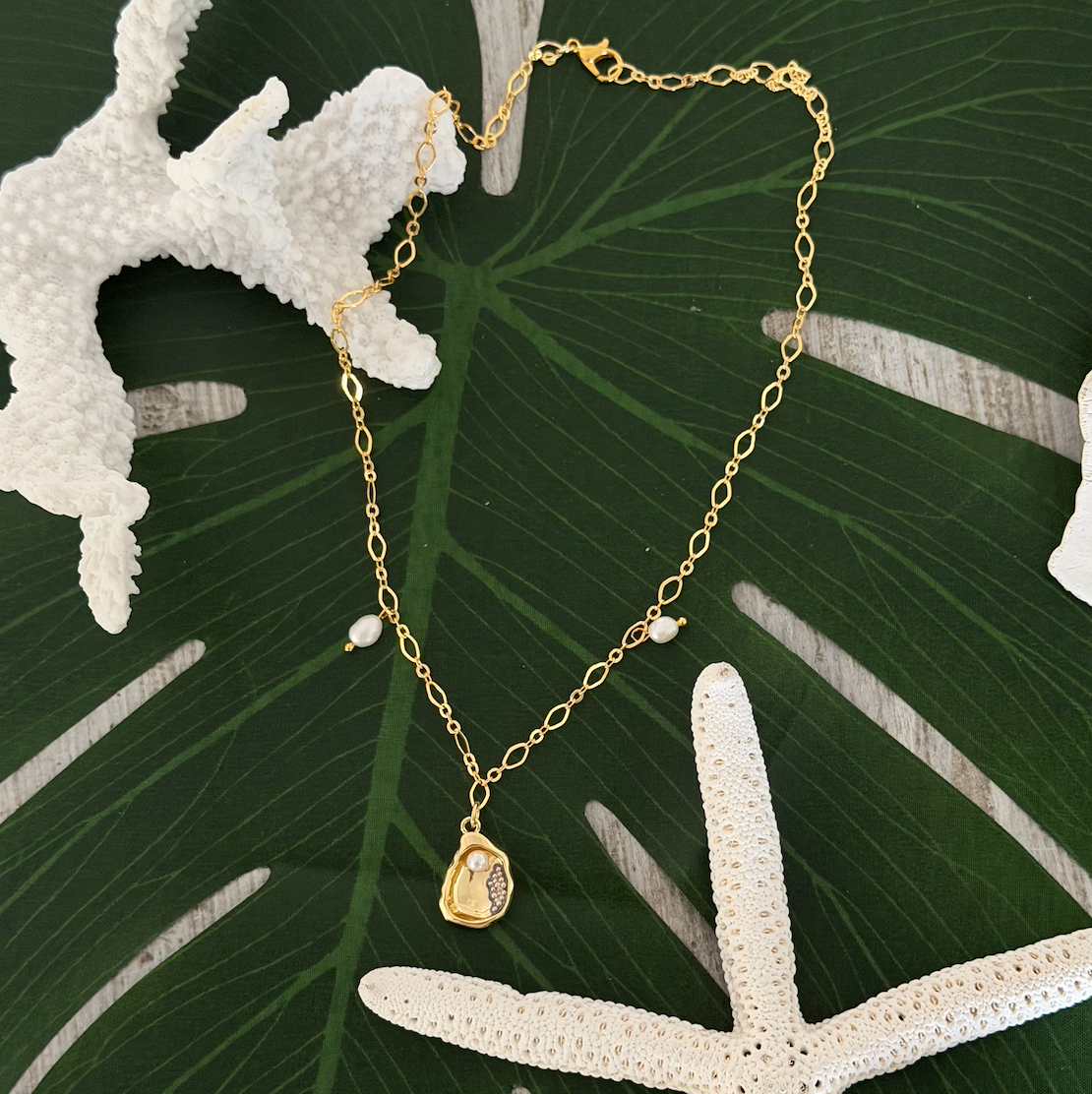 SAGE-Oyster Charm Necklace