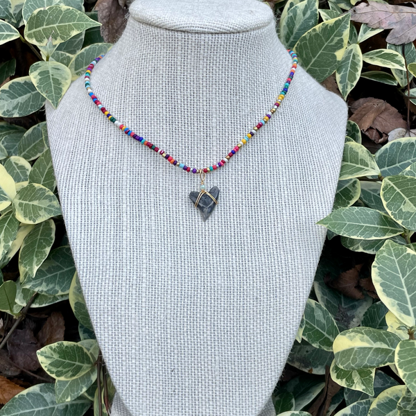 Multi-colored Bull Shark Necklace
